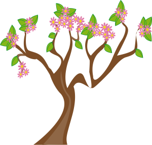 a flowering tree